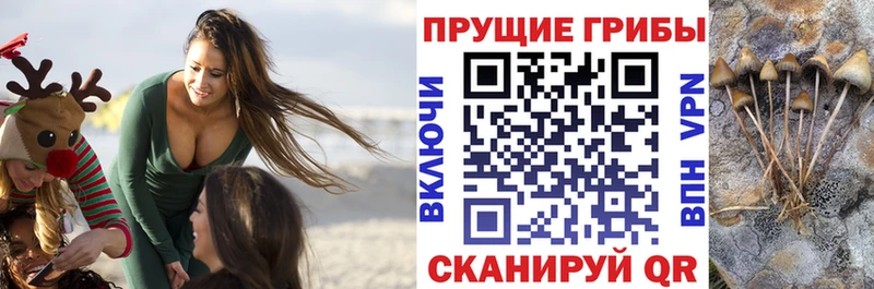 Галлюциногенные грибы Psilocybine cubensis  KRAKEN как зайти  Гуково  что такое  
